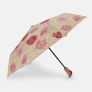 Umbrella In Signature Kaffe Fassett Print
